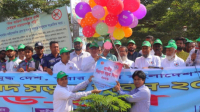 নিরাপদ সড়ক দিবসে বর্ণাঢ্য র‍্যালি ও আলোচনা সভা
