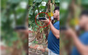 নাম শান্ত, হাতে পিস্তল
